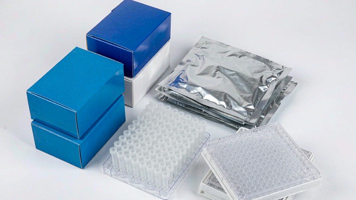 PCR kits