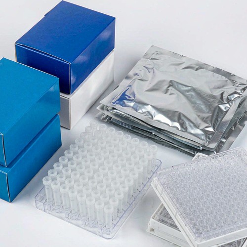 APOE Genotyping Kit