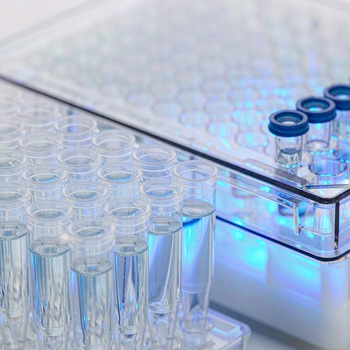 HLA-B*5801 Genotyping Kit